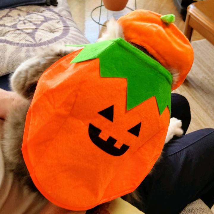 43db5500 c490 4184 a32a 214db302f8a6 1602400952069