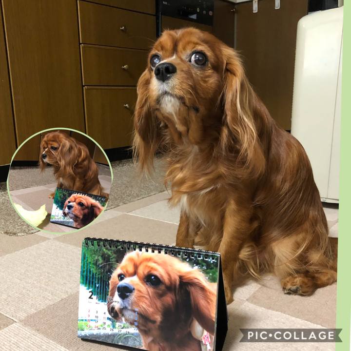 43db56e0 a2fb 4a34 bbe2 c3297267072d 1580511535413