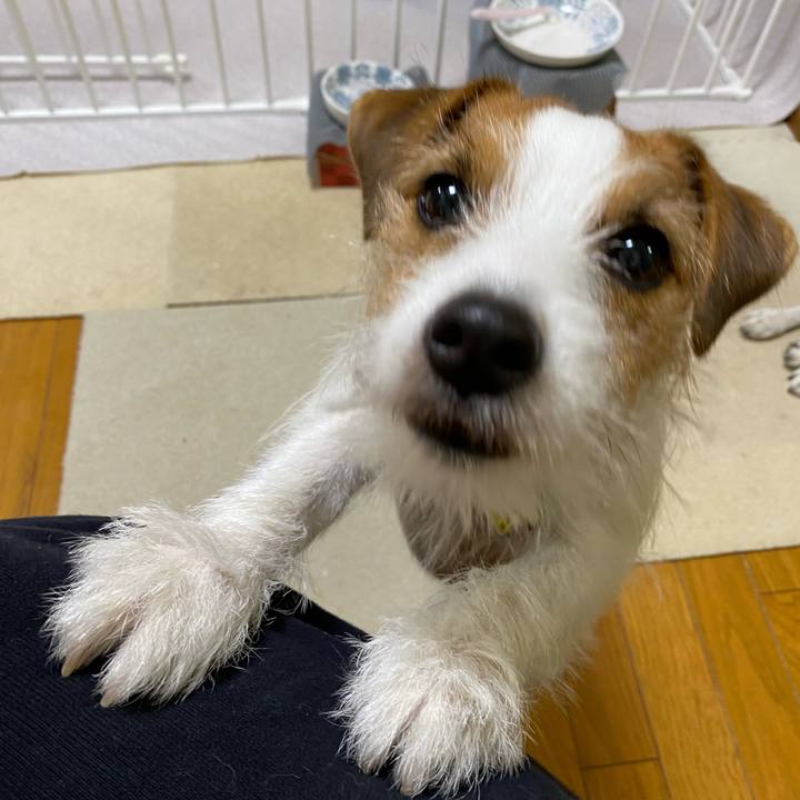 43db5c98 c8a2 44f5 a9a8 d82a99b88450 1668900709148