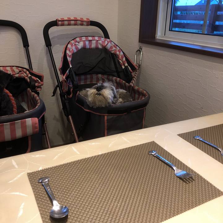 43db7cf1 59aa 4e64 8f9c 6fce1d2817b2 1561110907598