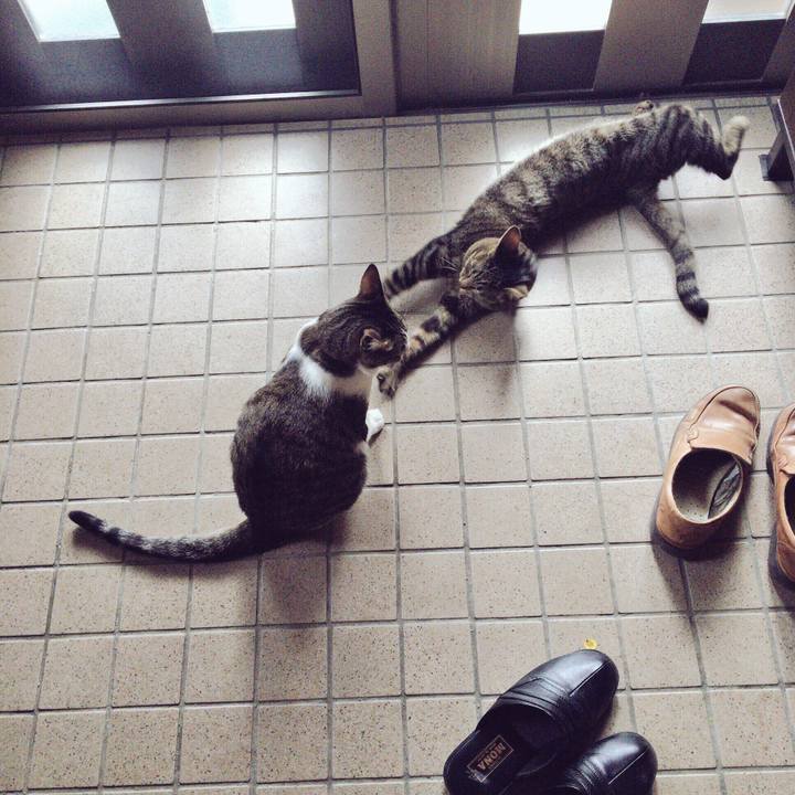 43dbcaca ddef 4088 827a 39909238445d 1515211363892