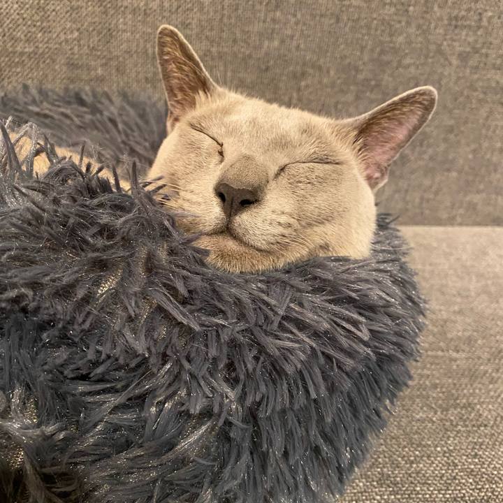 43dbd515 6320 4089 a4a5 1ffa12863314 1653534889318