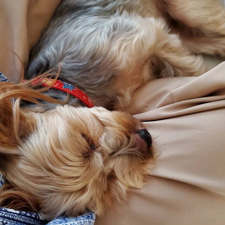 43dbfc40 5754 4d37 8880 6c55481be66a 1564722943199