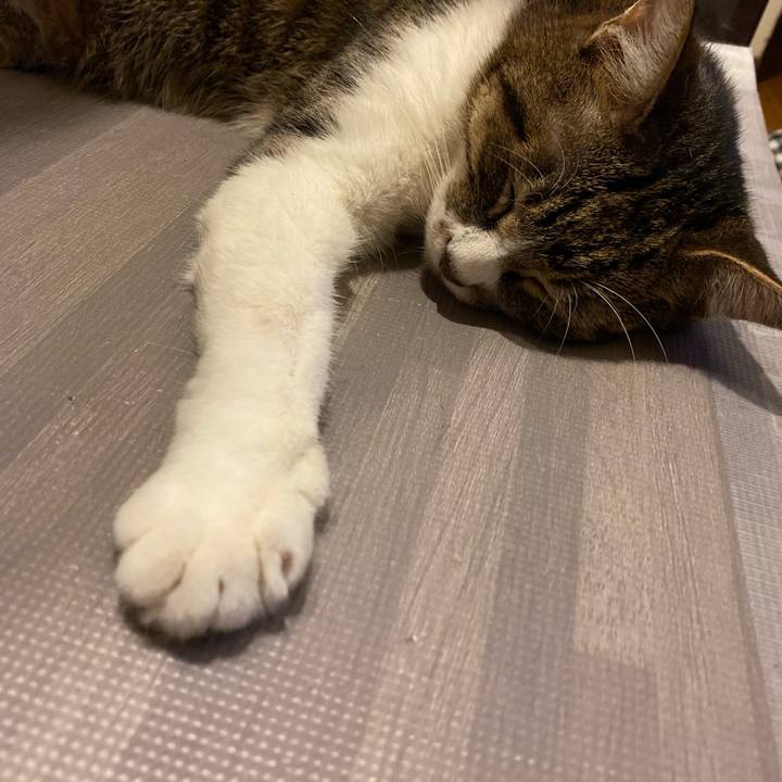 43dc3264 aaee 464a 90ca 06154ed8f174 1625749630095