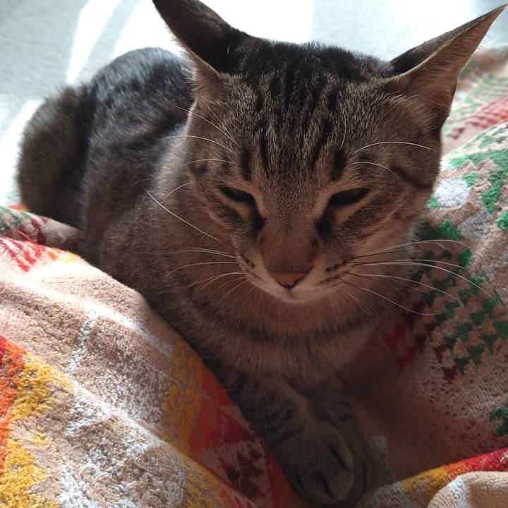 43dc5d06 54ed 4c85 a1bd 377066e1b358 1661065575317