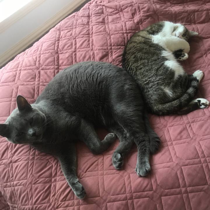 43dc5d7a 2b2e 4075 9bca 0a926a991085 1651969324214