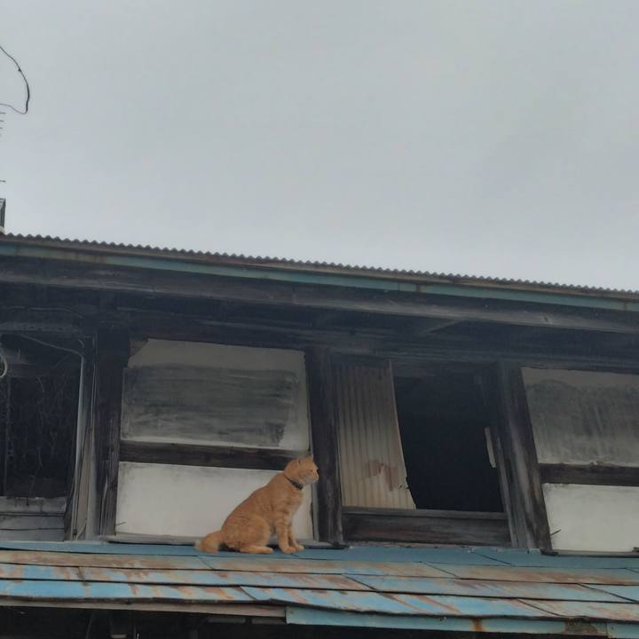 43dc6a59 8350 40c1 93e5 0a34921470d5 1752529948821