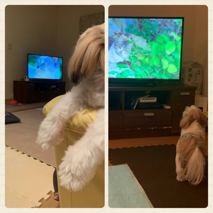 43dccf74 a6af 475b aa4d 85034547a038 1630418790916