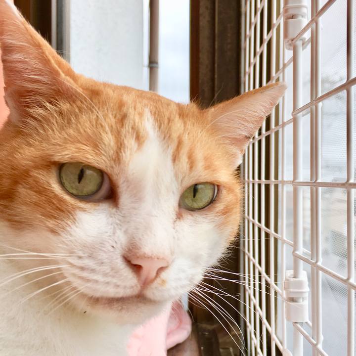 43dce16a c1a7 4862 be2b a2feeacede9a 1568261781731