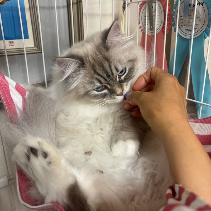 43dd199b ed97 492b 90a1 6ac0778f708c 1746435030894