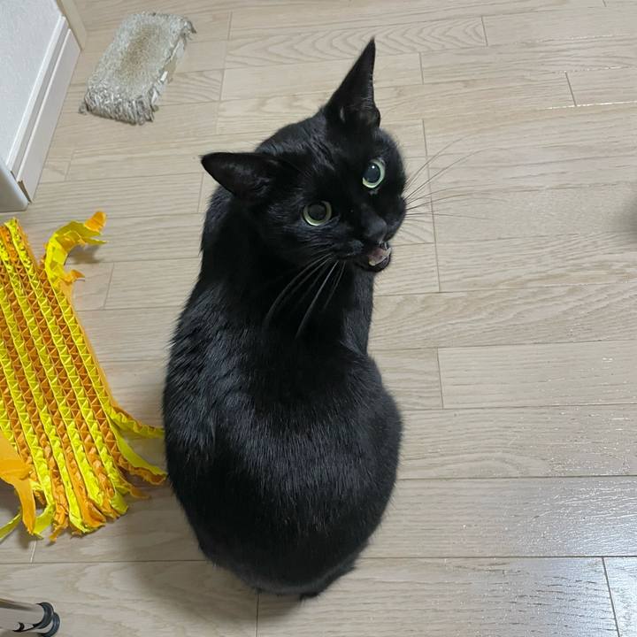 43dd28e5 2211 4db3 af7d e4e728b0dabf 1670599259432