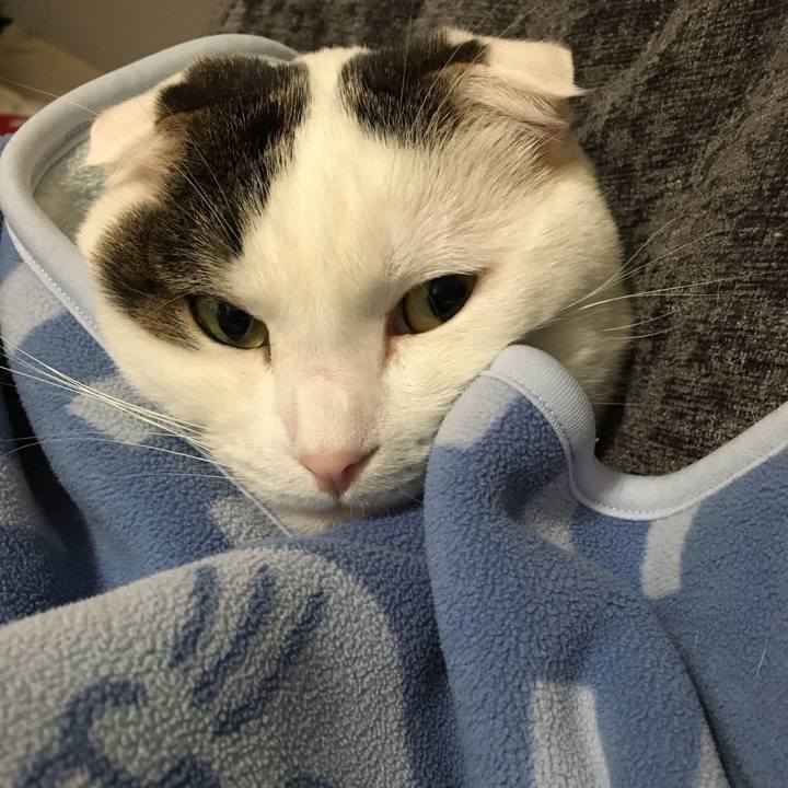 43dd3a3b bfe9 4efe 89cb 911f2f32430e 1519249723062