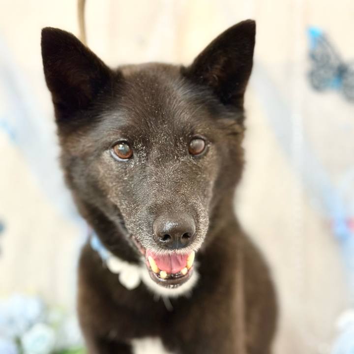 43dd4935 774f 4c52 a240 57e23f42c094 1750471531679