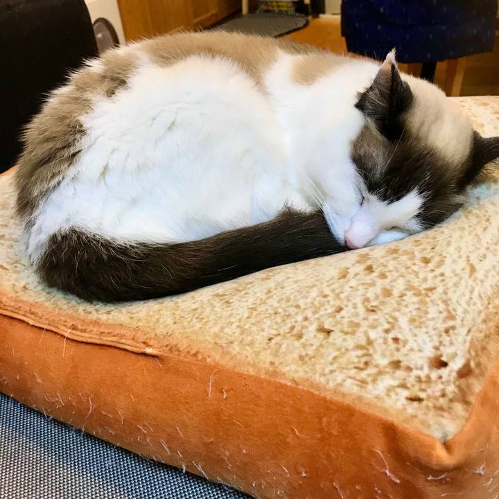 43dd5f05 ead4 4593 a53a 10118810d741 1580126401905