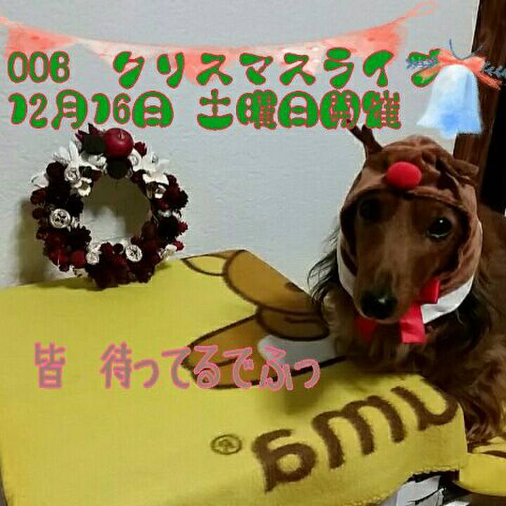43dd6629 4f3f 4c3f be13 33a3d5884f7e 1512113814130