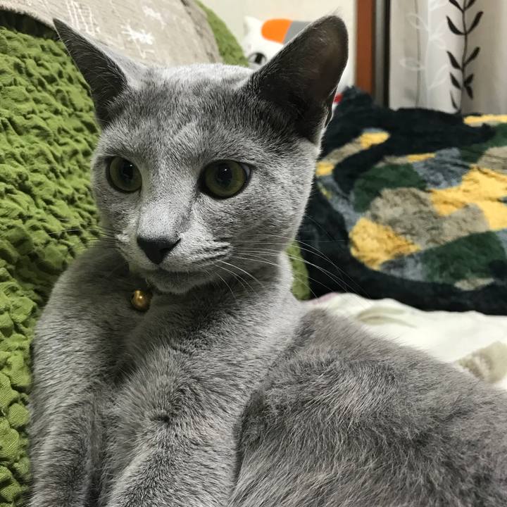 43dd73a1 eeef 44f7 b008 0f774f0846cd 1520666652031