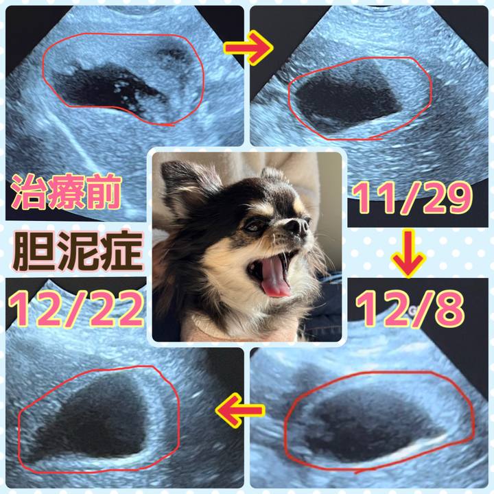 43dd7a52 abf0 452d a40b 4388213a5268 1671670850013