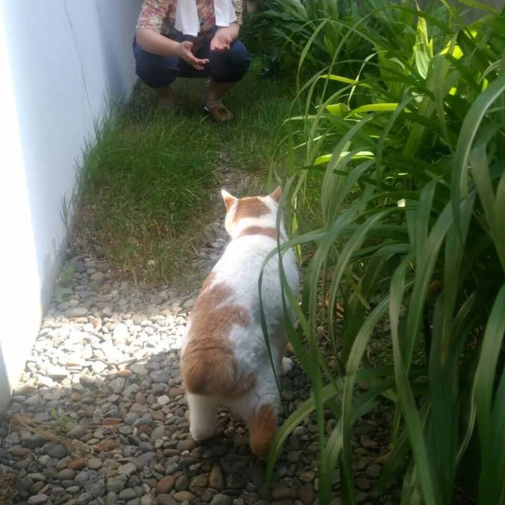 43ddafdf 310b 487f b038 d5e940a56647 1689396583366