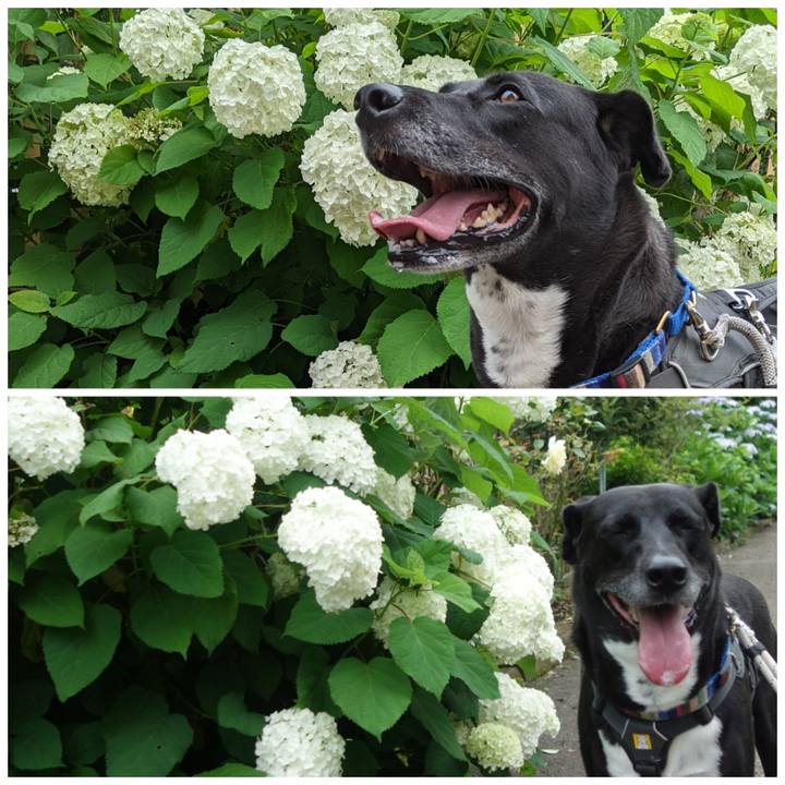 43ddc187 120e 45fd 9c43 5f08d35eae44 1655426227347