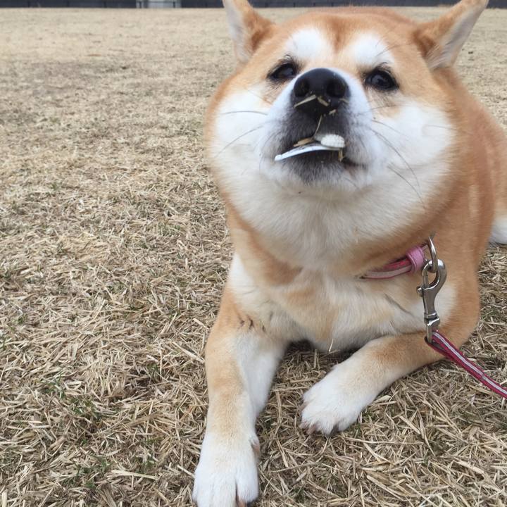 43ddf5ef 5e47 4541 98d1 21af688b8198 1517046563338