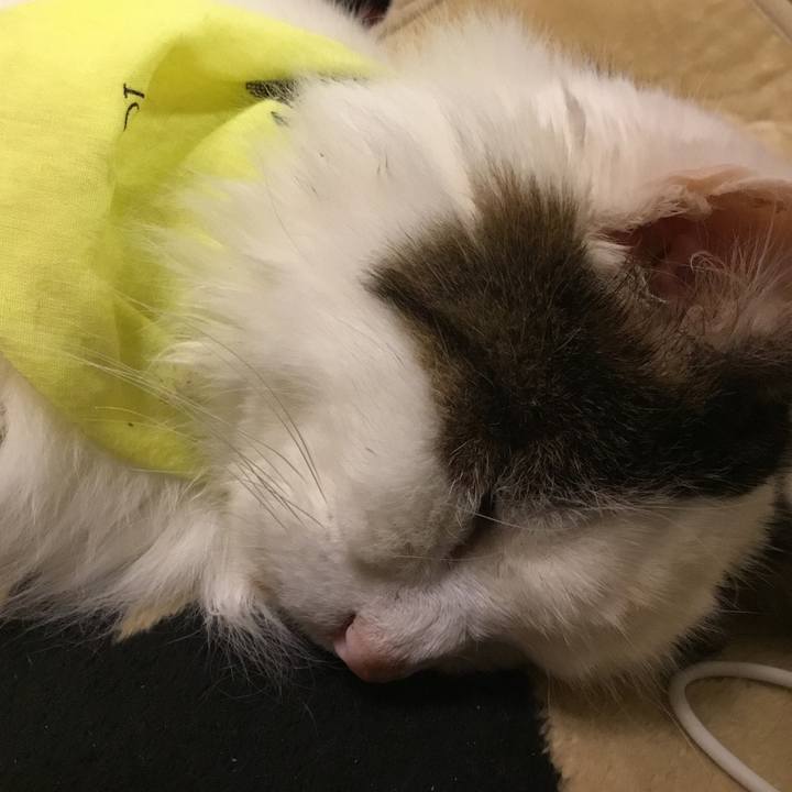 43de0eed 14d3 45c7 8cc1 7389c3420d3b 1578917552688