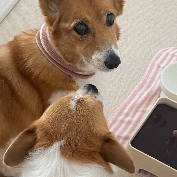 43de1f69 09fb 4ffc 91d0 8d587ce77be0 1756528766954