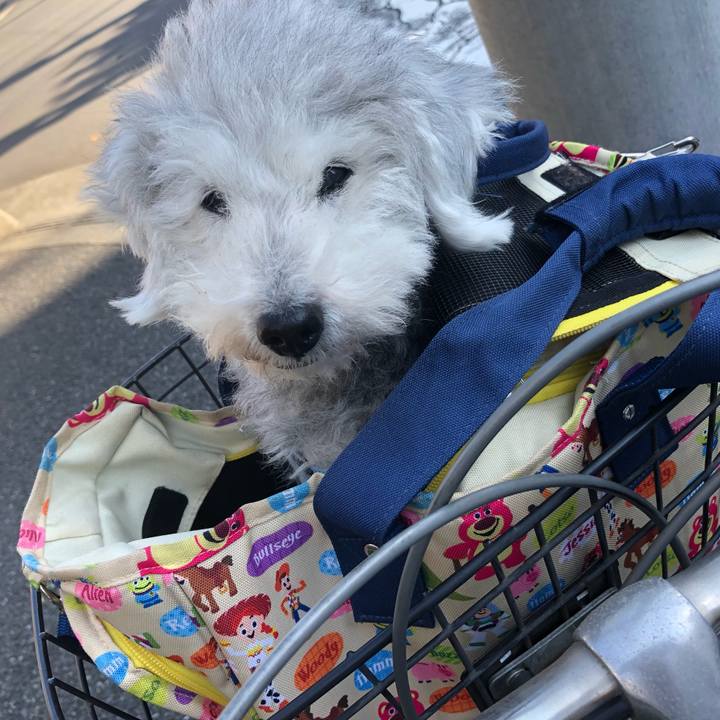 43de518d fa2c 4c03 9e45 7a4780a72646 1664150555268