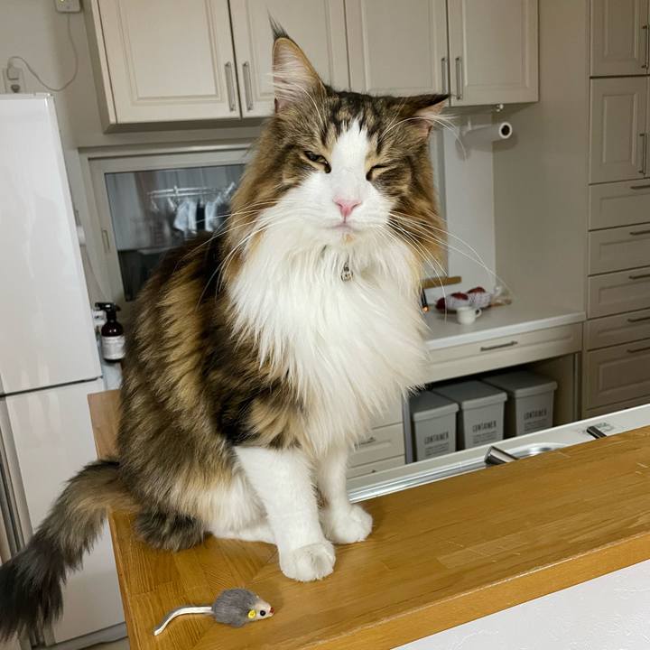 43dec3d1 074f 4e44 aef6 57a0c152e462 1668972084553