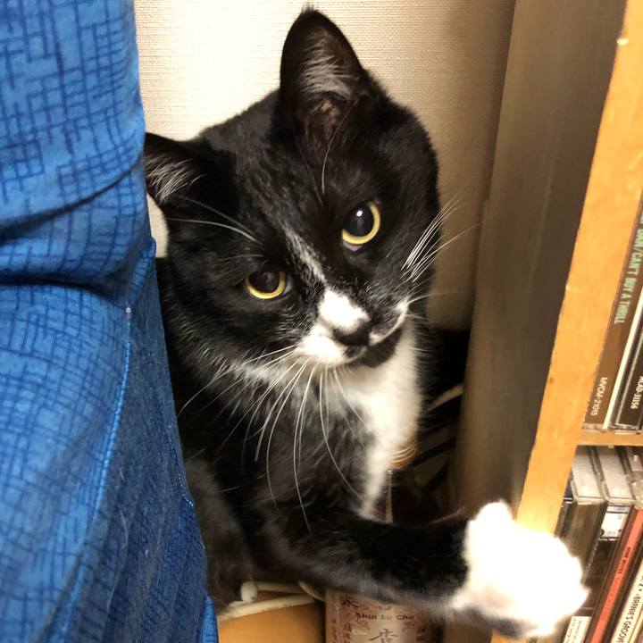 43ded21b 7460 4ef4 bfe0 18ebd24d799f 1586835938870