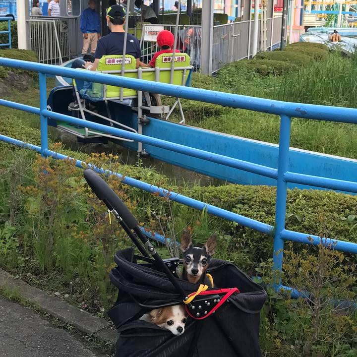 43dee5c5 f2c7 49d5 b32a 074449d1d7bc 1534596715766