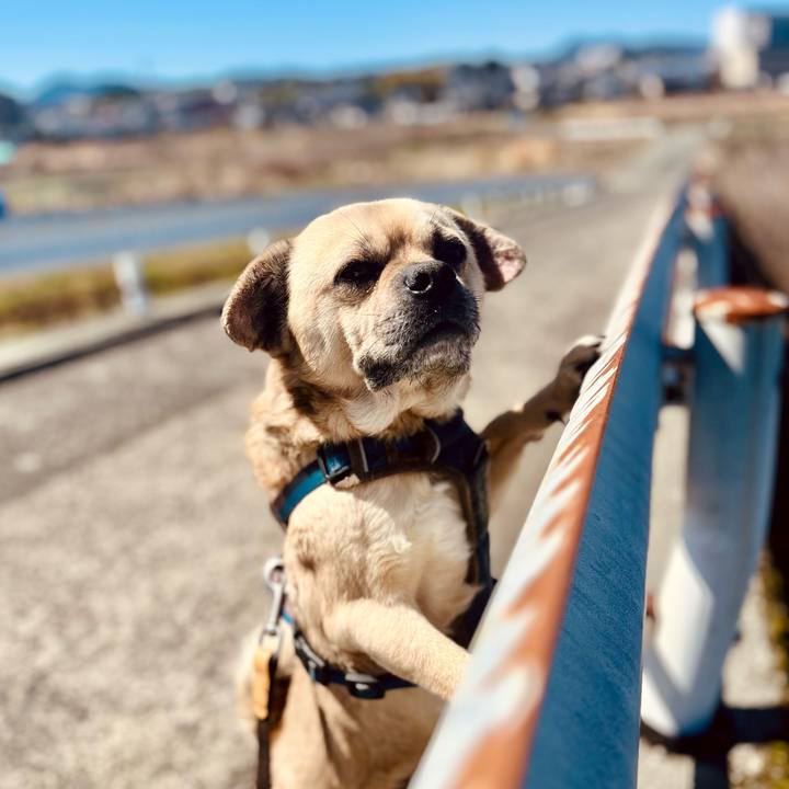 43dee69a e350 4cc2 8cbf 3e1751ab3f68 1773460277346