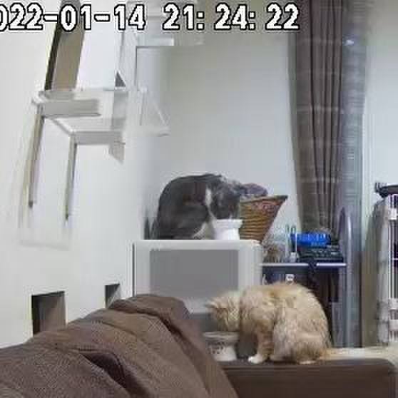 43defef2 8cfd 4c9b 9e58 699b10504c4d 1642163123369