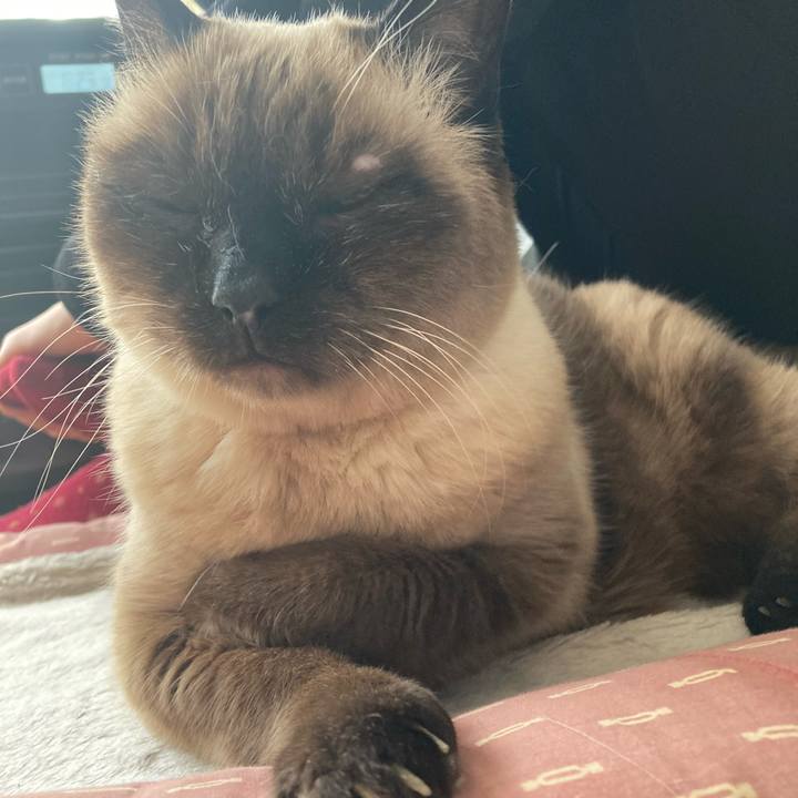 43df0afb ecfd 40d3 add6 4ff8a35211e2 1646882549130