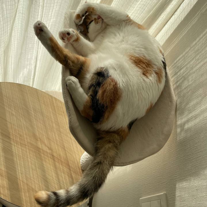 43df2c54 d95d 422e b385 34948cf28462 1613283664132