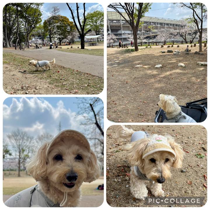 43df4517 25e6 429d bf47 c6a45cdbdba8 1774924648688