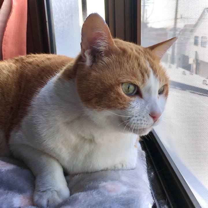 43df49b6 b452 4157 93cd 371ba383092d 1649391133439