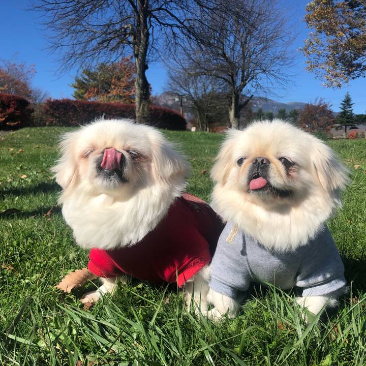 43df6f78 df35 46c3 aeb9 17961e527088 1572870945800