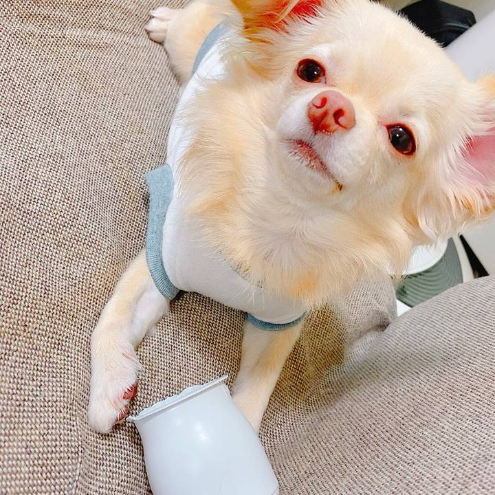 43dfa1b1 926a 4b02 ab82 ba011785c11d 1635917734492