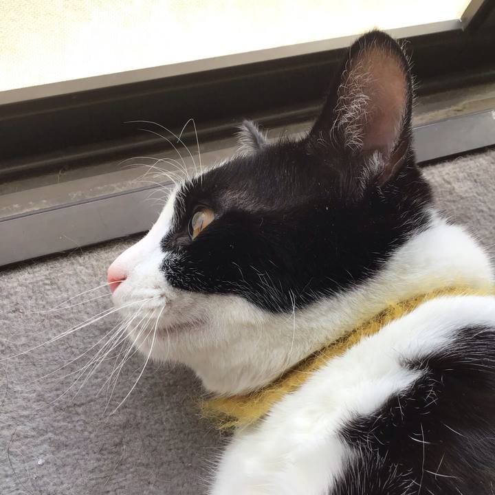 43dff0ce 8529 4045 af84 11329c1418b6 1649576602272