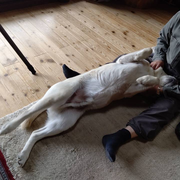 43e003ae ba13 4170 aa37 142ec9aaf2ac 1684063133602