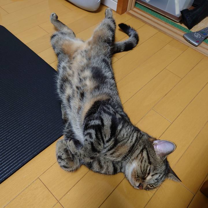 43e023af 6887 4525 89f6 333fc789b7ac 1627647140552