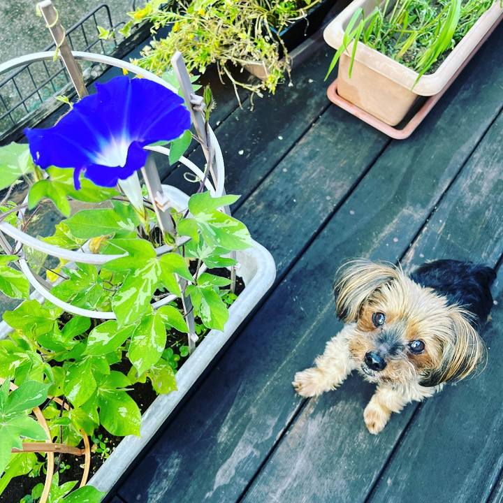 43e04a39 5811 43ad bb03 d0e3fe63725d 1689025402746