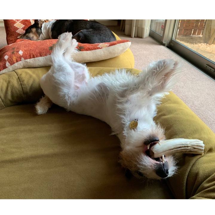 43e07aa3 ee5b 4424 a020 529134523fdf 1596197370942