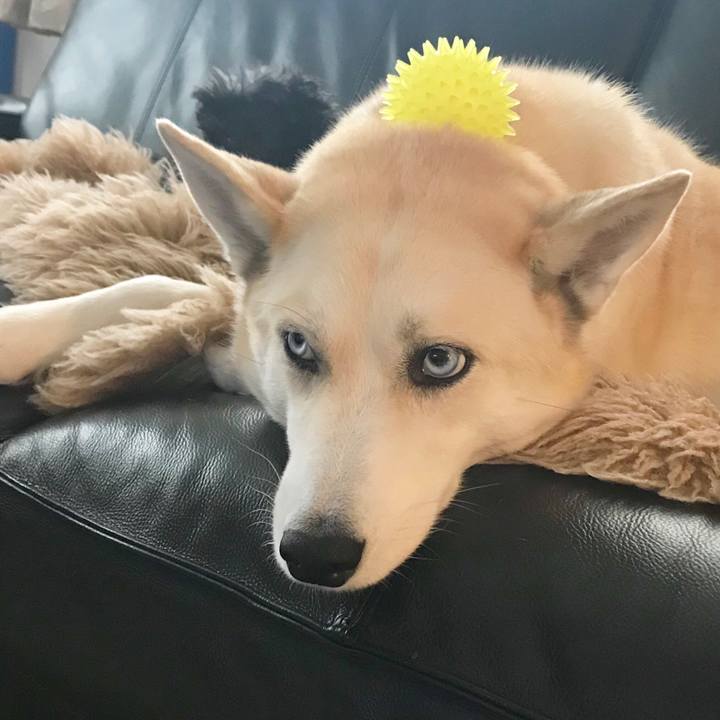 43e0ac44 0ef9 41d9 b56c e3422b9653e3 1545176039602