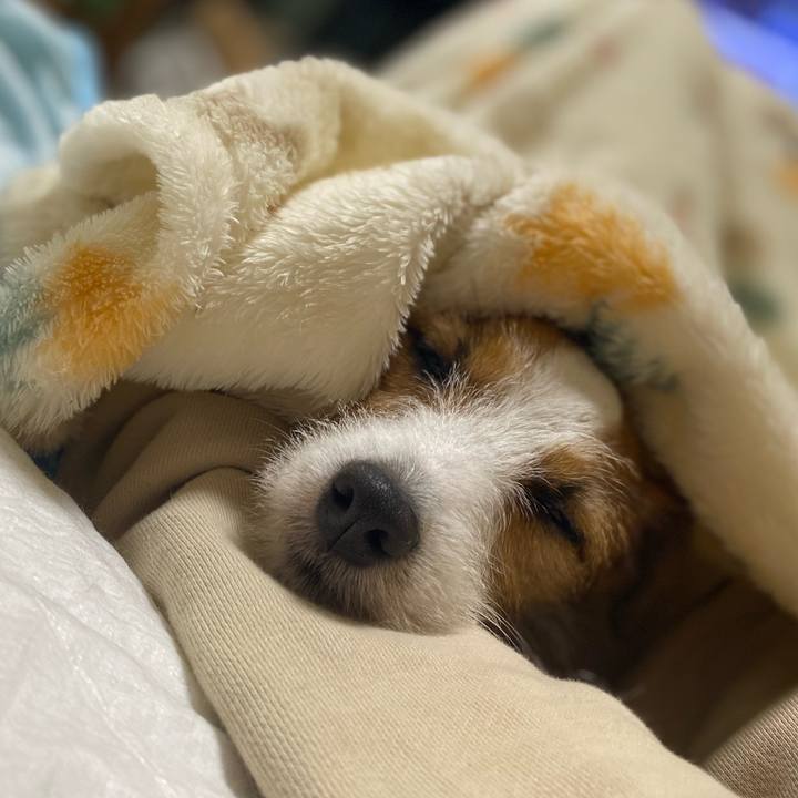 43e1005a 331b 4d62 b9fe 469905a23615 1731754556008