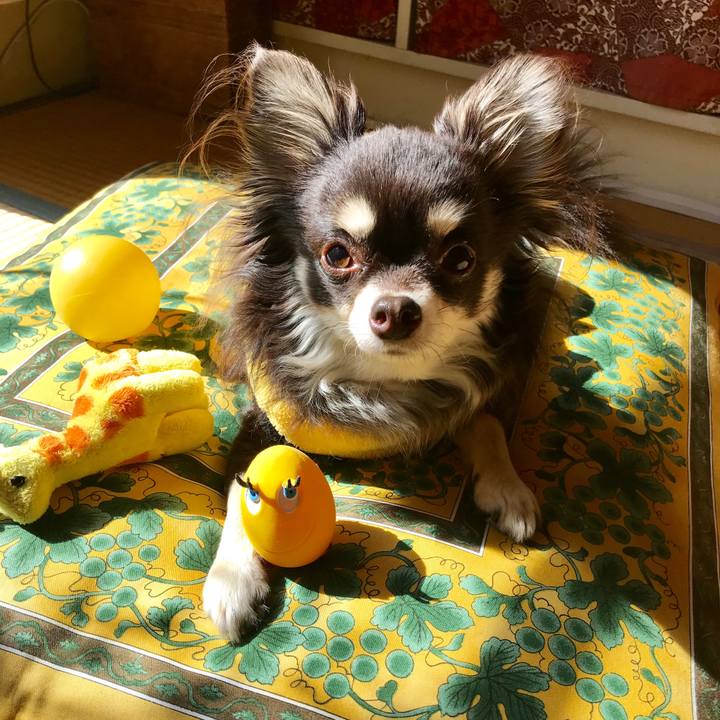 43e11627 a555 4068 aa88 082a4f36edc7 1548730129623