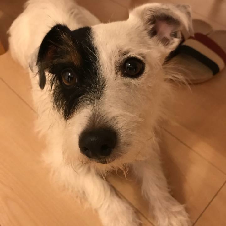 43e153d9 c6da 4e95 a8cb 8533500f0045 1532518264477