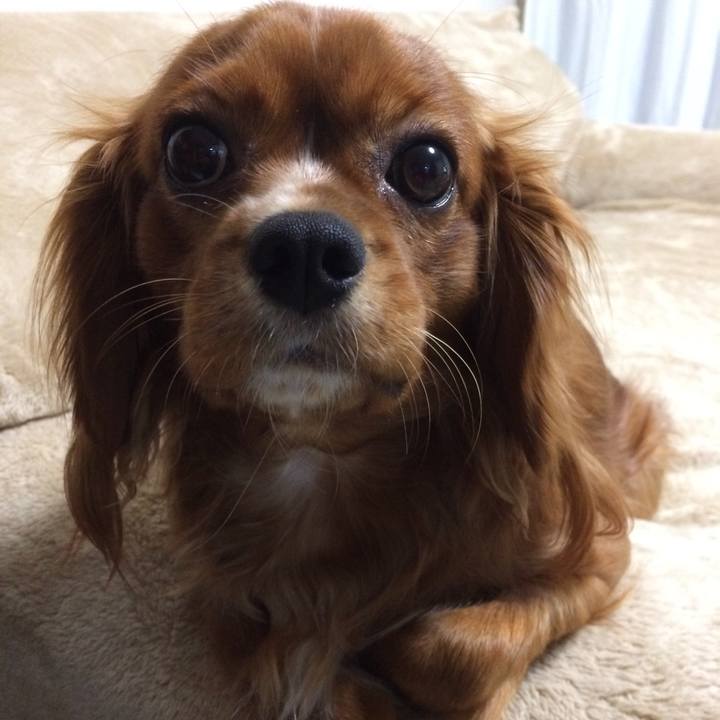 43e15c71 3896 47d2 bdba aee4cd26c203 1513289388727