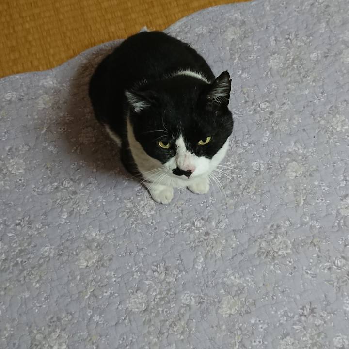 43e198ab 92fb 49be 8f4e e76f1c718e89 1551412090933