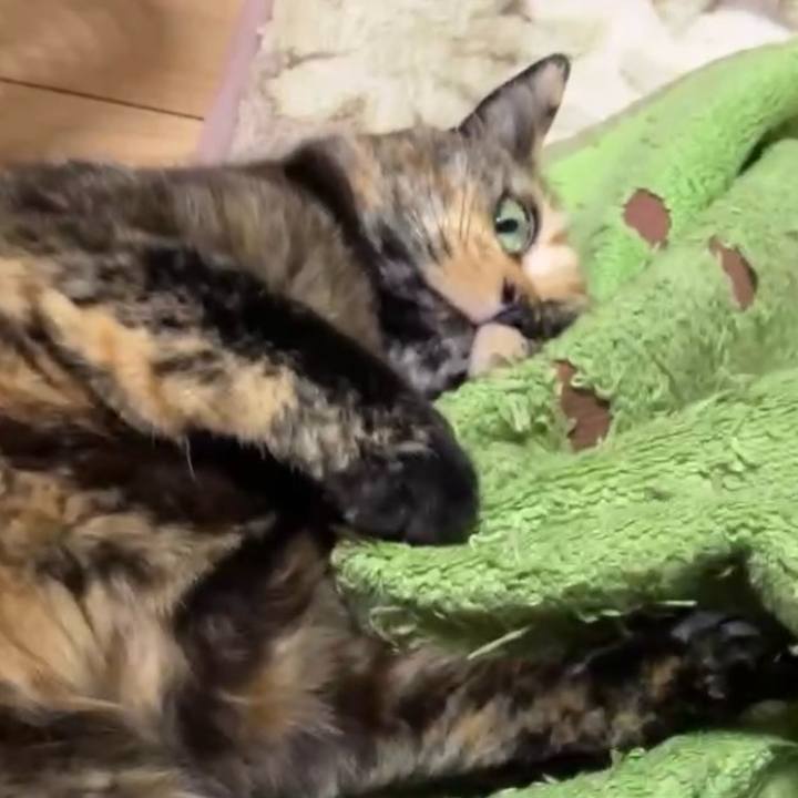 43e1c1fd 3c85 4407 b967 28fe7c47b9a1 1737233393895